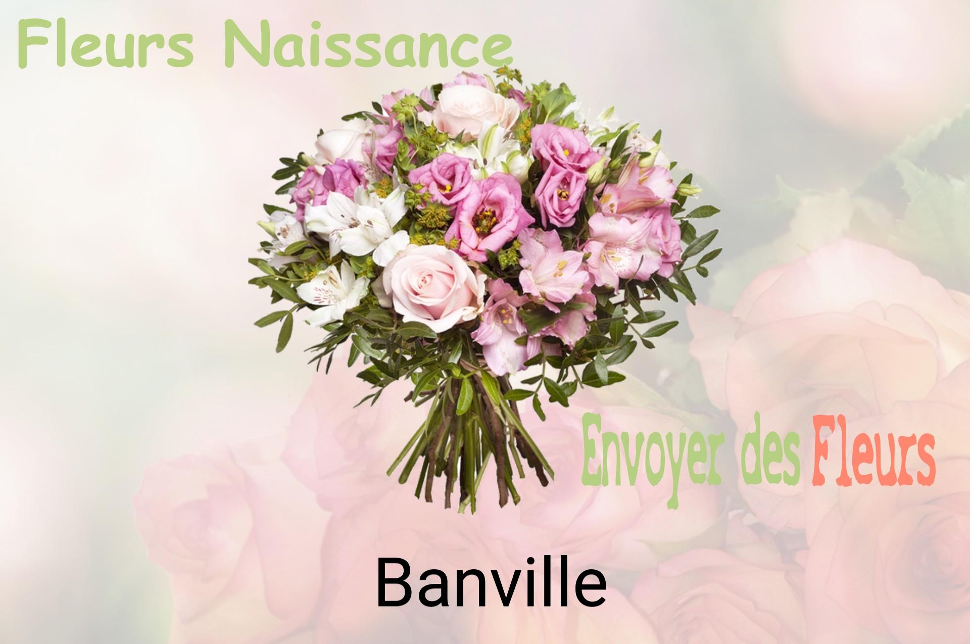 Bouquet de fleurs de naissance livré à Banville